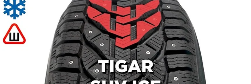 Шины Tigar Ice