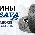 Зимние шины Rosava