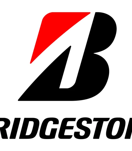 Каков рейтинг летних и зимних шин Bridgestone