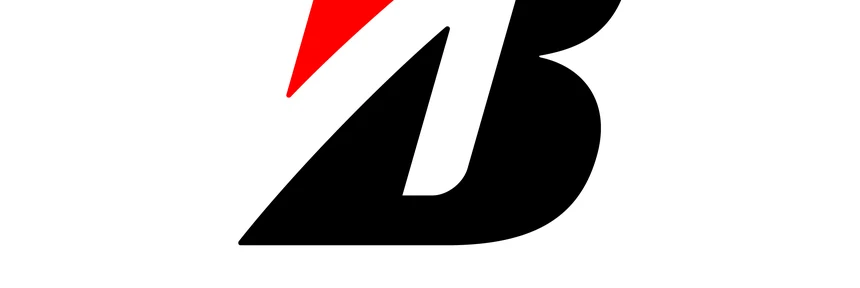 Как определить направление шин  Bridgestone