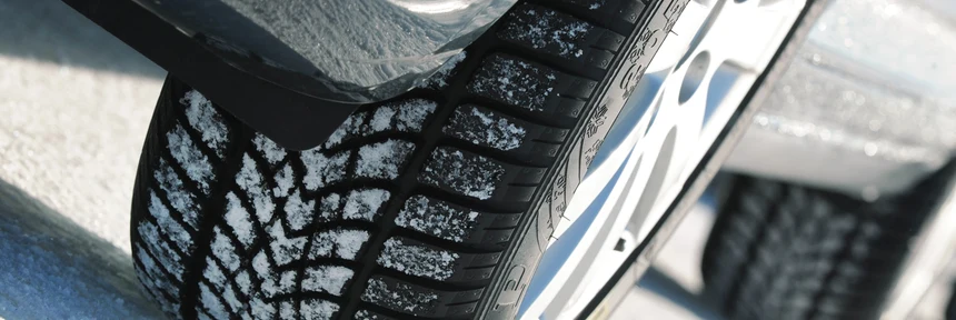 Обзор шин Dunlop
