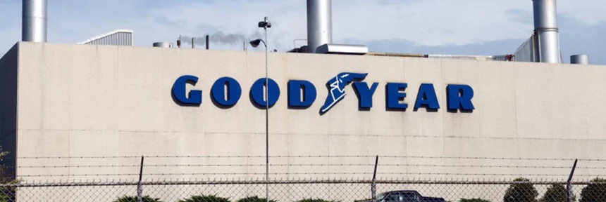 Шины зимние Goodyear