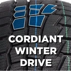 Шины Cordiant Winter Drive