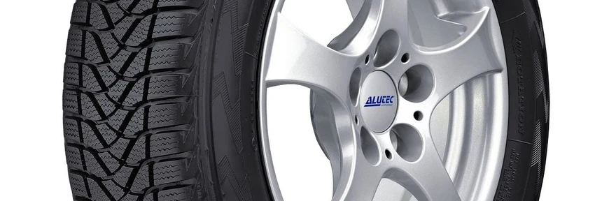 Зимние шины Firestone