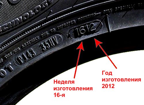 kak-opredelit-god-vypuska-shin1