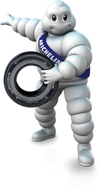  /tyres/kakie-shiny-luchshe-danlop-ili-mishlen.html