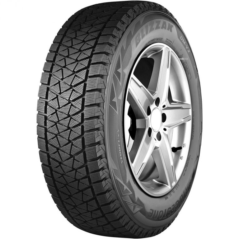 Bridgestone Blizzak DM-V2