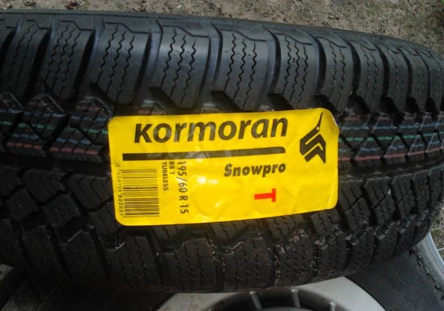 Kormoran